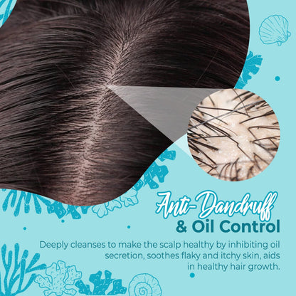 Hair Follicle Scalp Deep Clean Sea Salt Shampoo