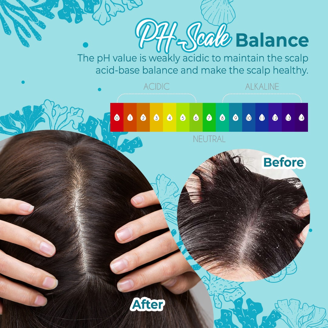 Hair Follicle Scalp Deep Clean Sea Salt Shampoo