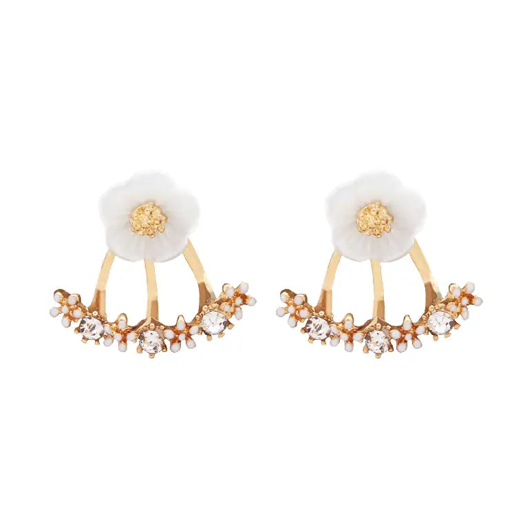 Diory EarAcupressure Magnetherapy Detoxi Earrings