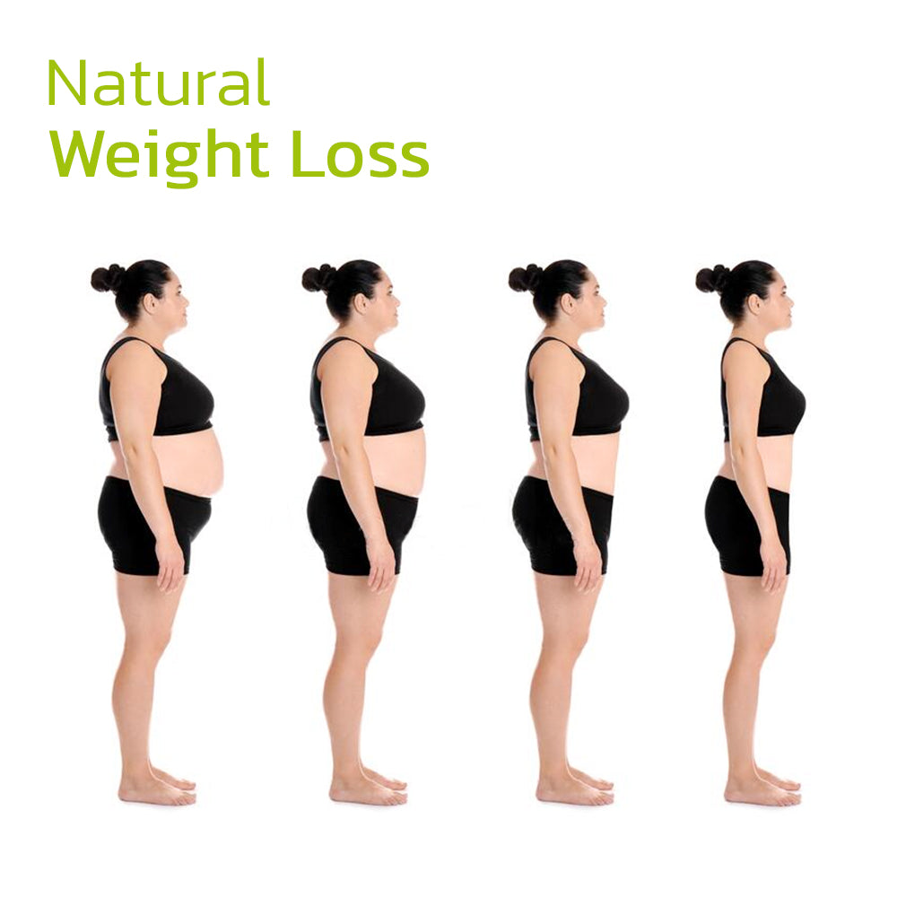 Japanese Garcinia Slimming Waist Patch