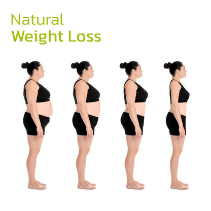 Japanese Garcinia Slimming Waist Patch